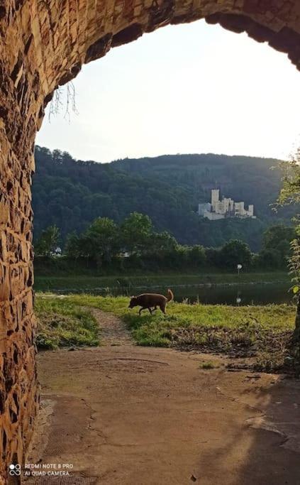 Ferienwohnung Lahnmuendung Mit Kostenlosem Parkplatz Lahnstein Bagian luar foto