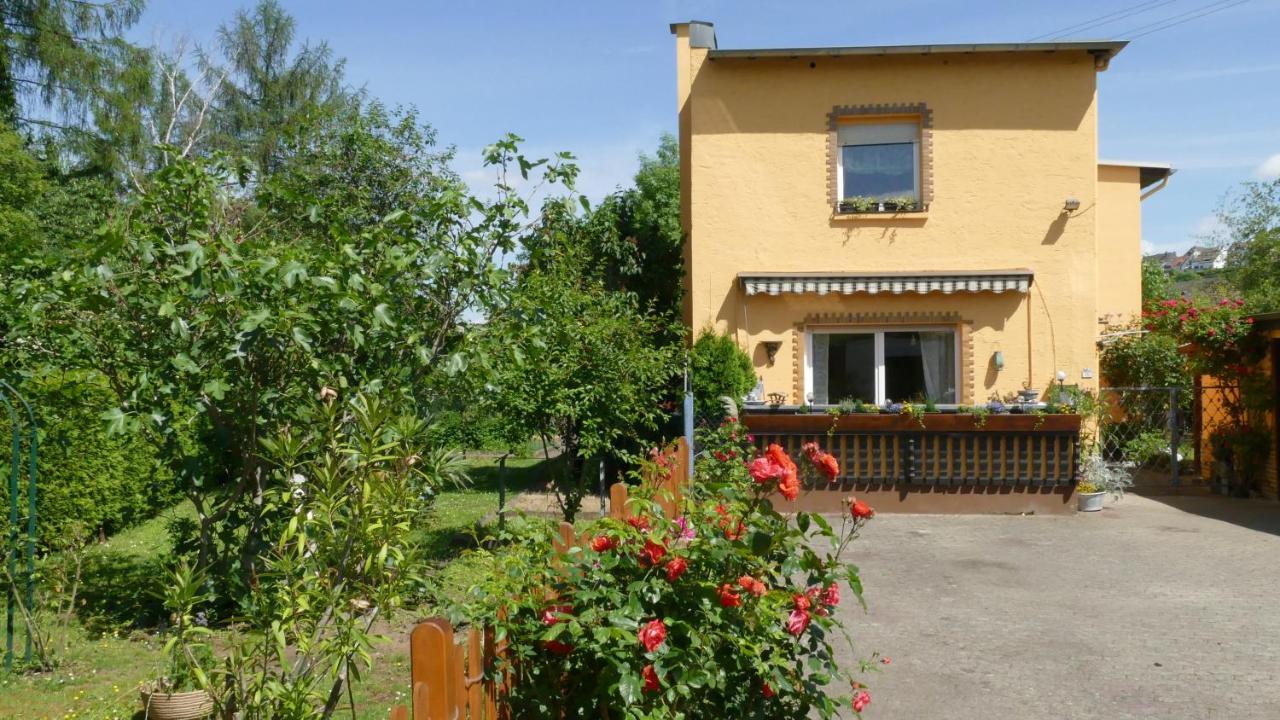 Ferienwohnung Lahnmuendung Mit Kostenlosem Parkplatz Lahnstein Bagian luar foto
